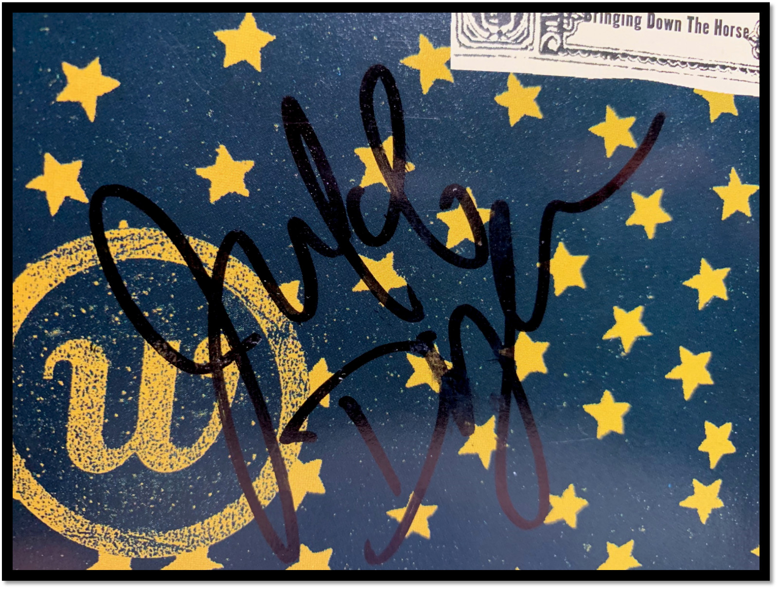 JAKOB DYLAN SIGNED “Bringing Down The Horse” Wallflowers CD Booklet Bob Son