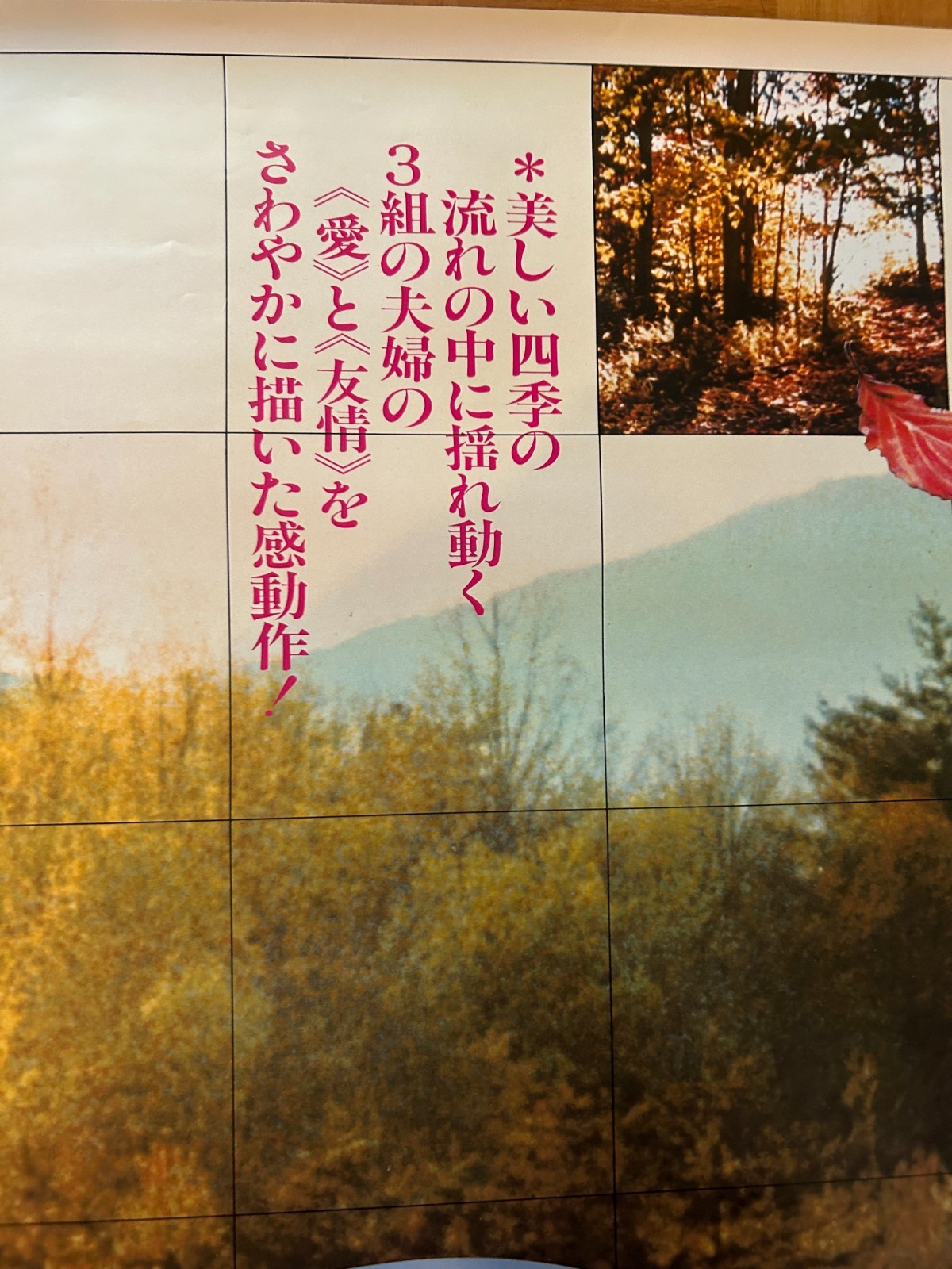 The Four Seasons 1982 Japan Original Promo Poster B2(JIS) 20x28in 515x728mm