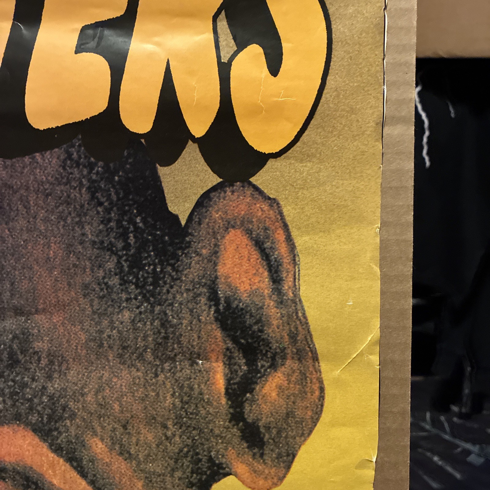 Foo Fighters 1995 Debut lp Promo Poster. Ultra Rare 24″ x 35″ VG Condition
