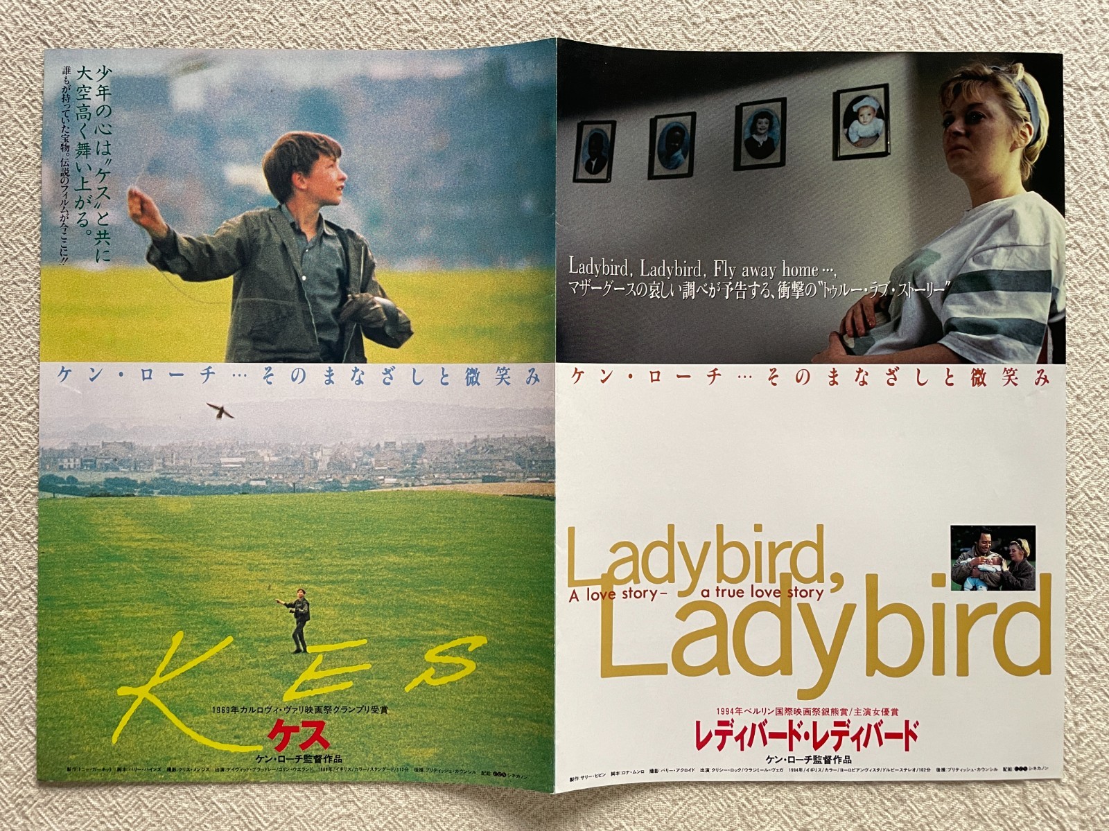 Kes & Ladybird Ladybird 1996 Movie Flyer Japan Ken Loach