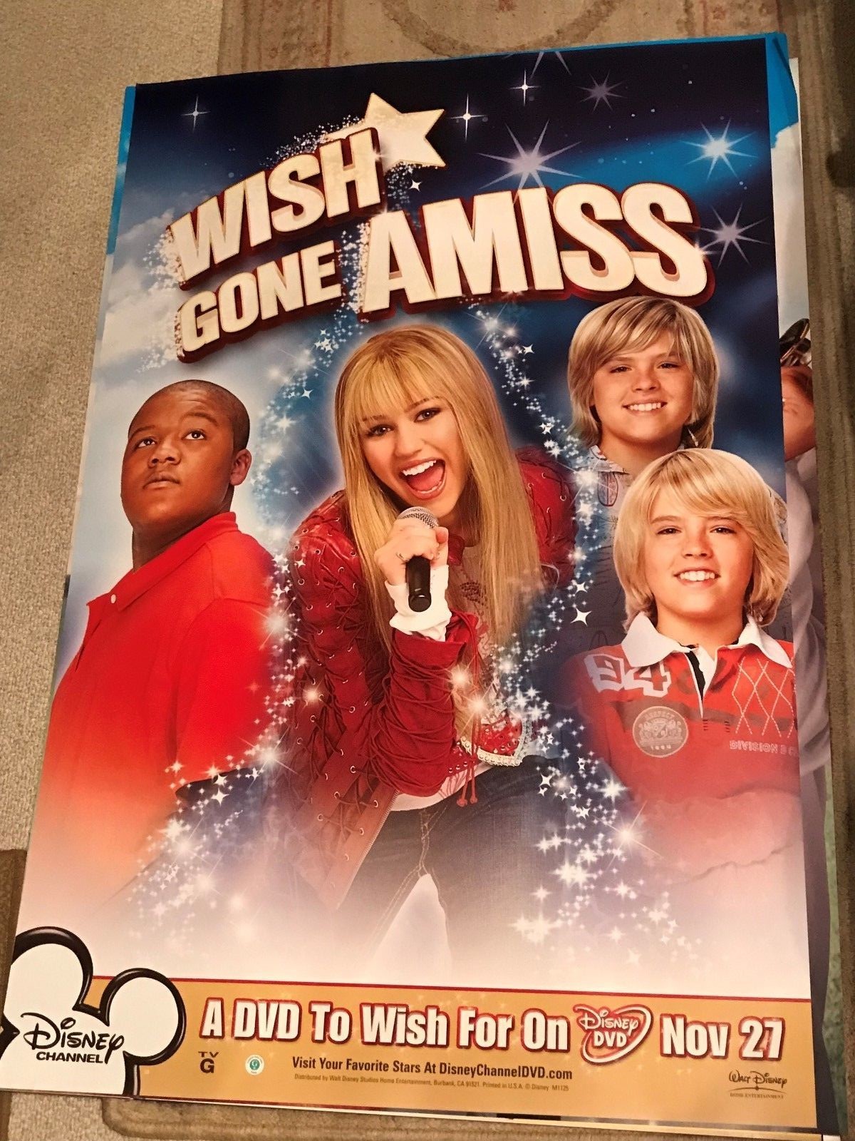 DISNEY’S WISH GONE AMISS POSTER 26 X 40 INCHES B3