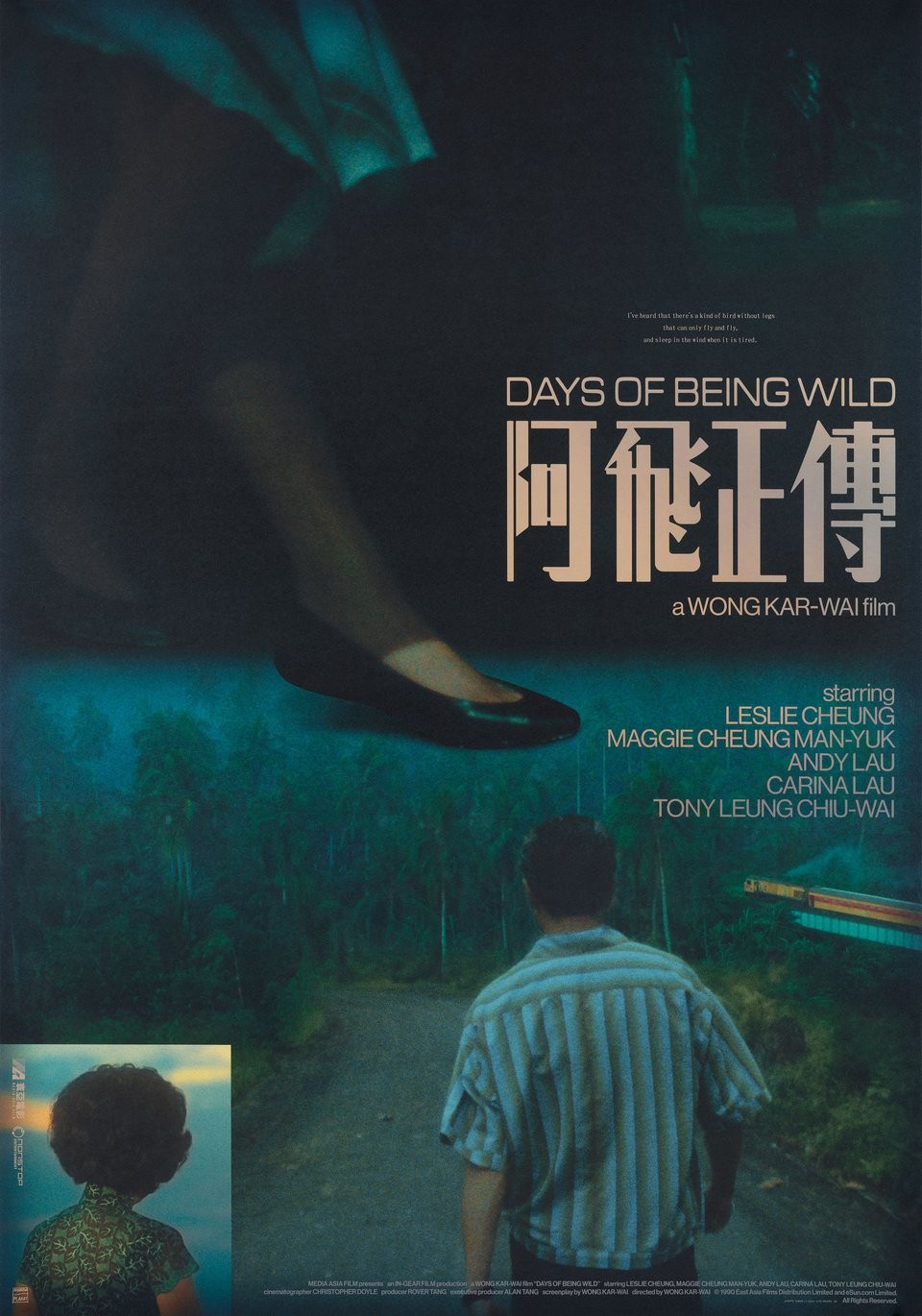 Days of Being Wild R2023 Swedish B1 Poster