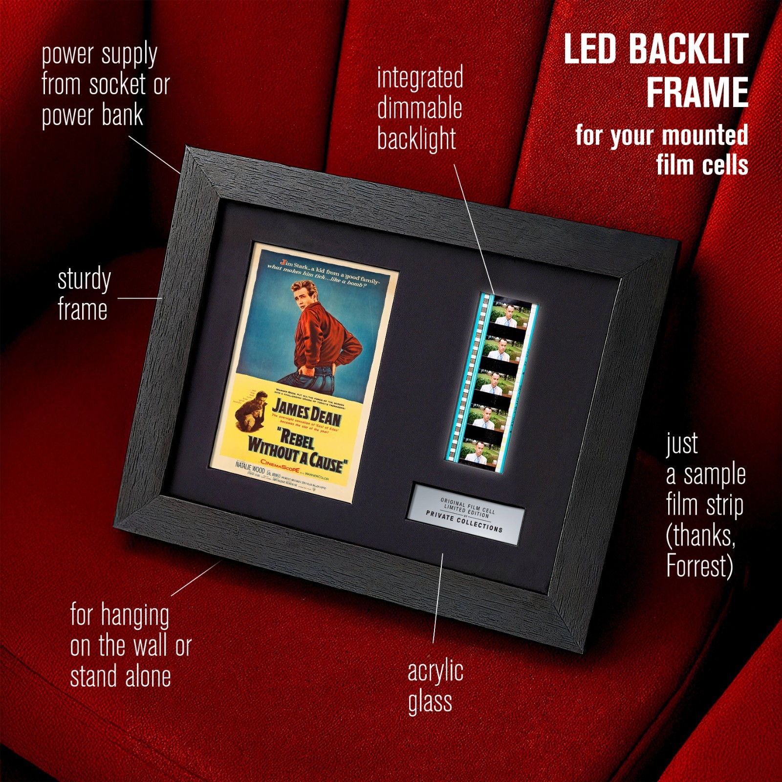 REBEL WITHOUT A CAUSE (1955) Certified 35mm Film Cells in an LED Backlit Frame