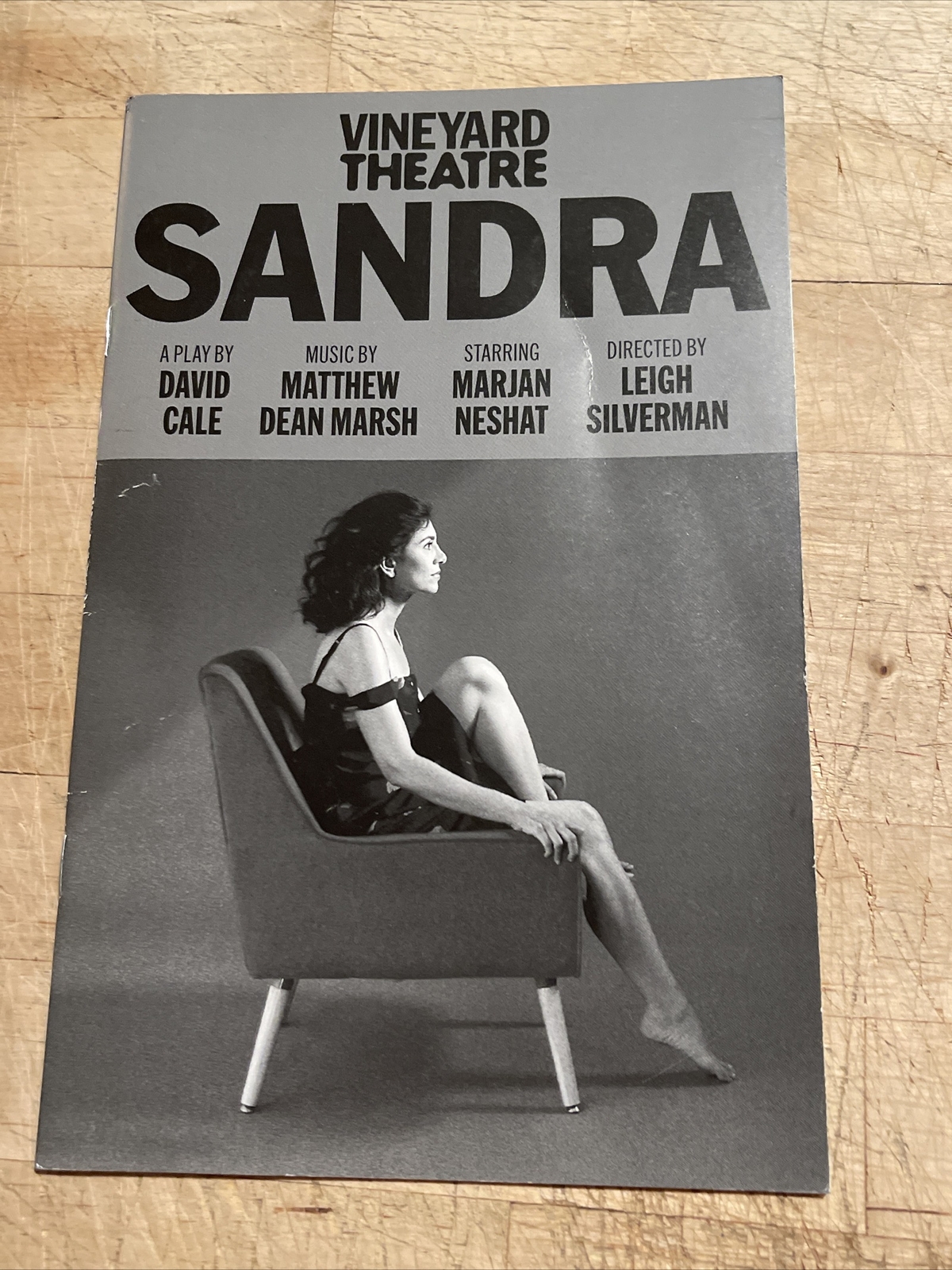 SANDRA Off-Broadway 2022 Vineyard Playbill! DAVID CALE Play! MARJAN NESHAT!