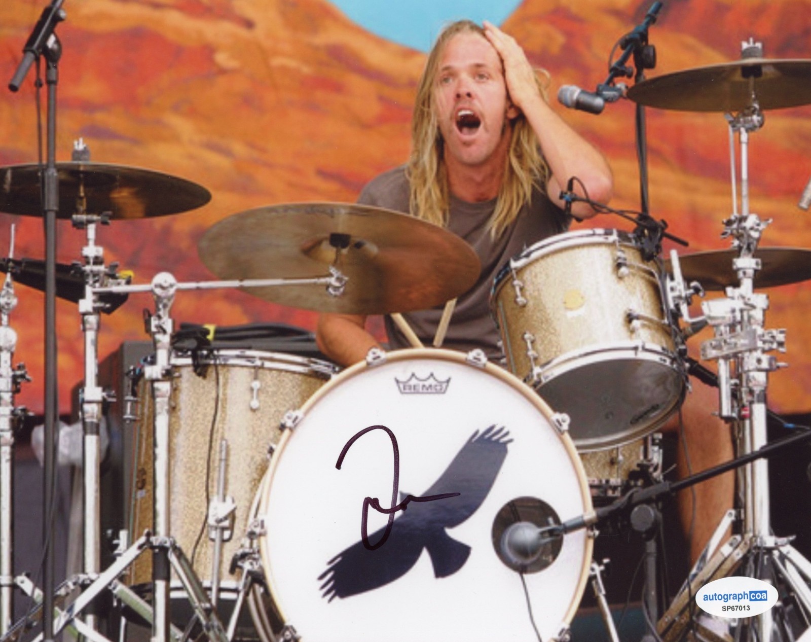 FOO FIGHTERS Photo of Taylor Hawkins RIP Autographed 8×10 Photo ACOA