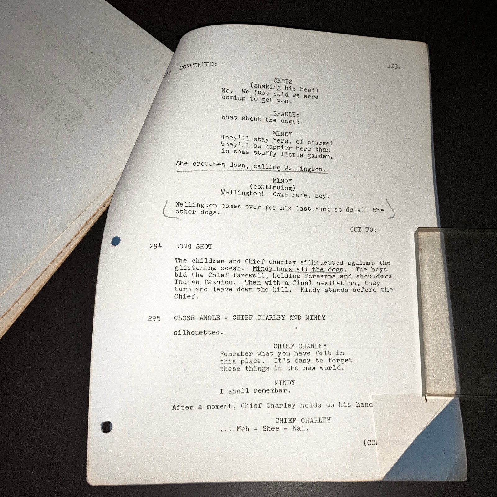 STUART RAFFILL Unmade 1970s Script WILD OATS & INDIANS Rare Development + COA!