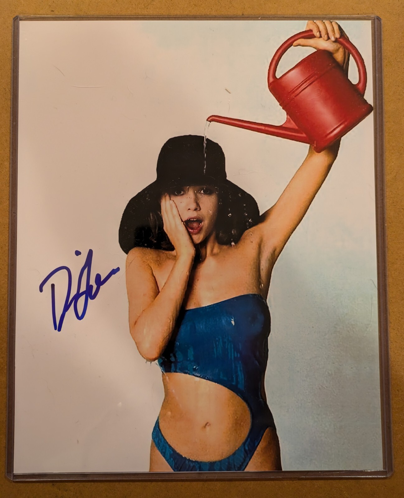Diane Lane (Actress) signed Autographed 8×10 photo – AUTO w/COA