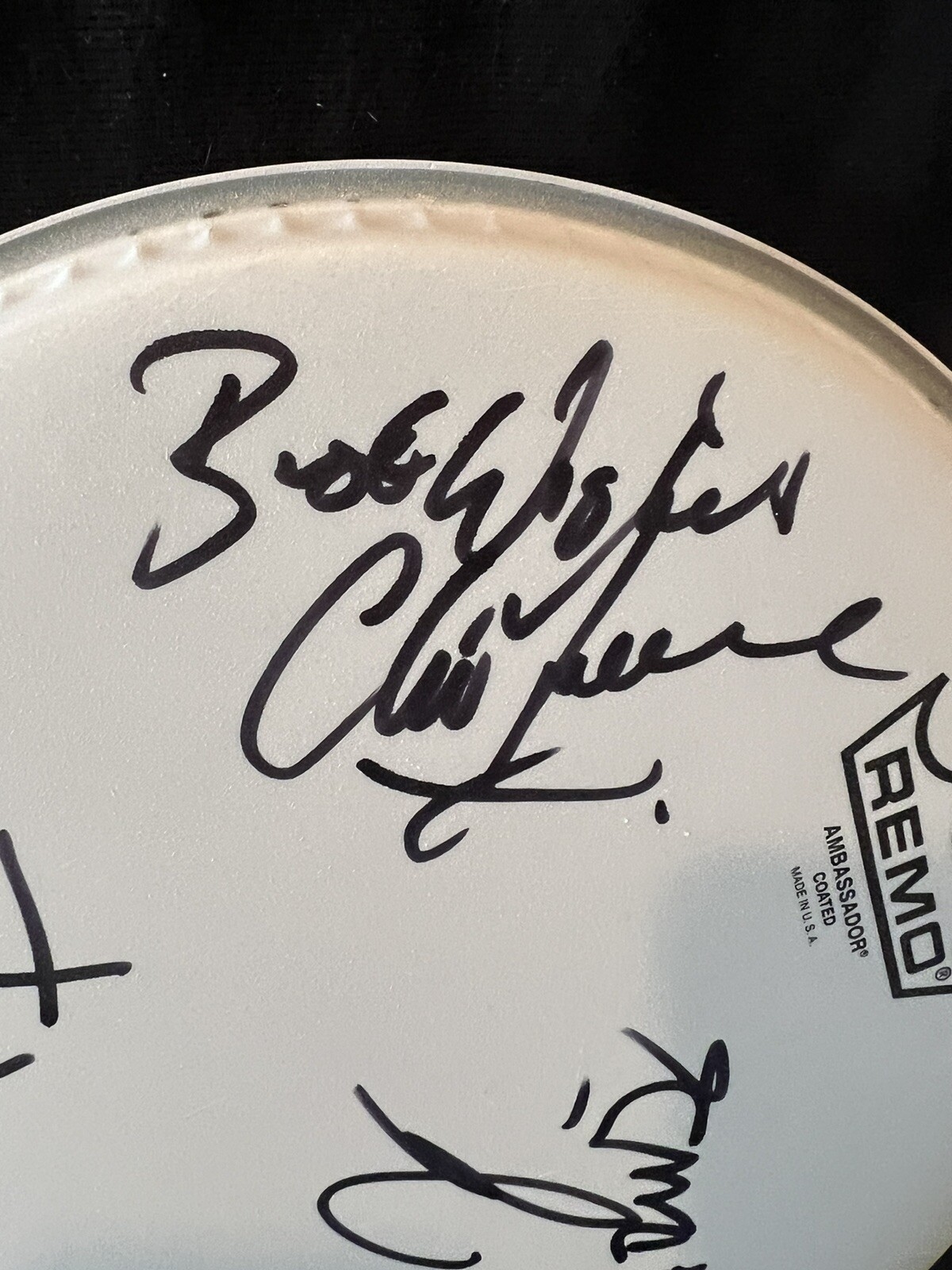 When In Rome signed Autographed Drumhead Pop Rock PSA/DNA Authenticity