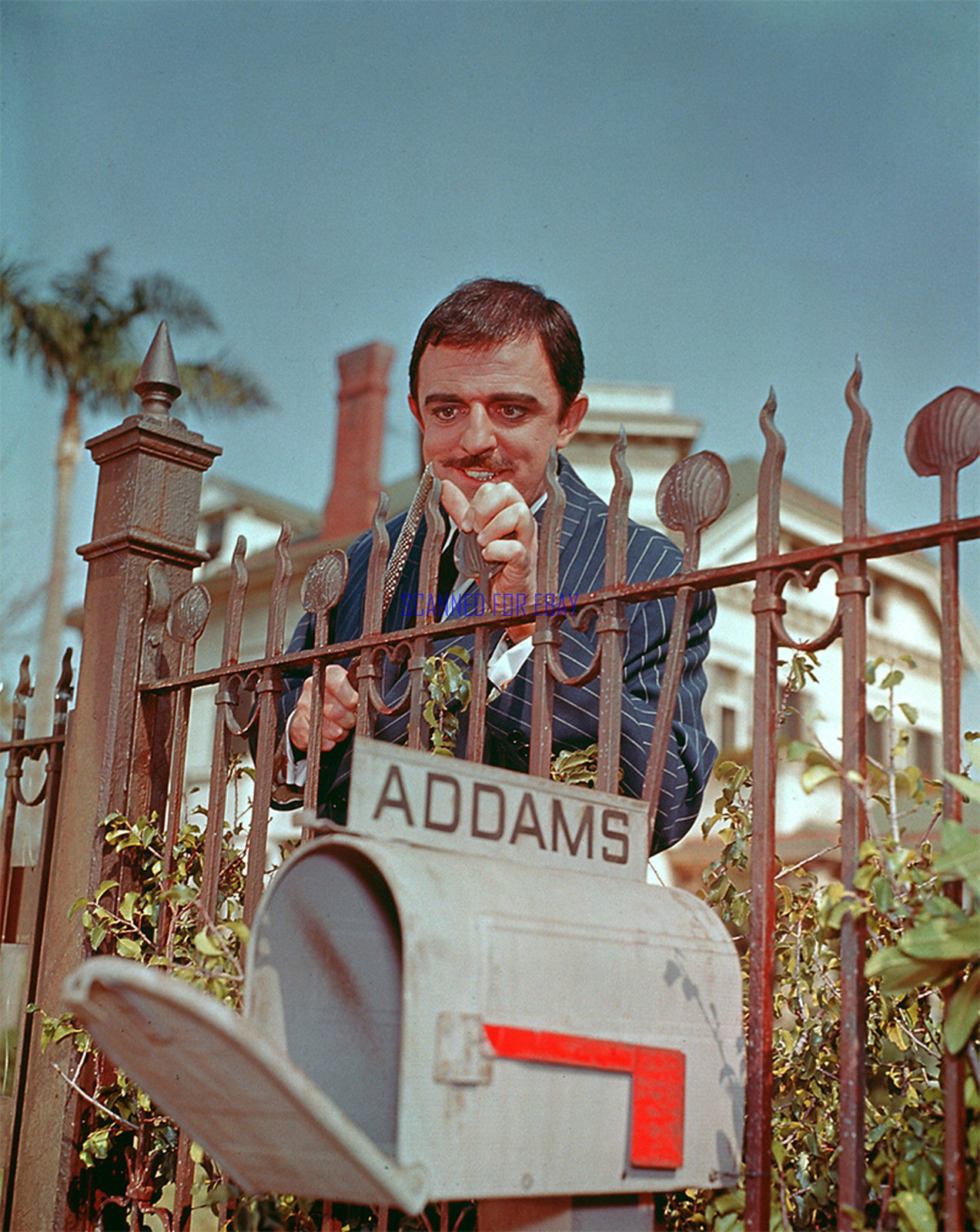 THE ADDAMS FAMILY WACCKY JOHN ASTIN AS GOMEZ RARE PHOTO