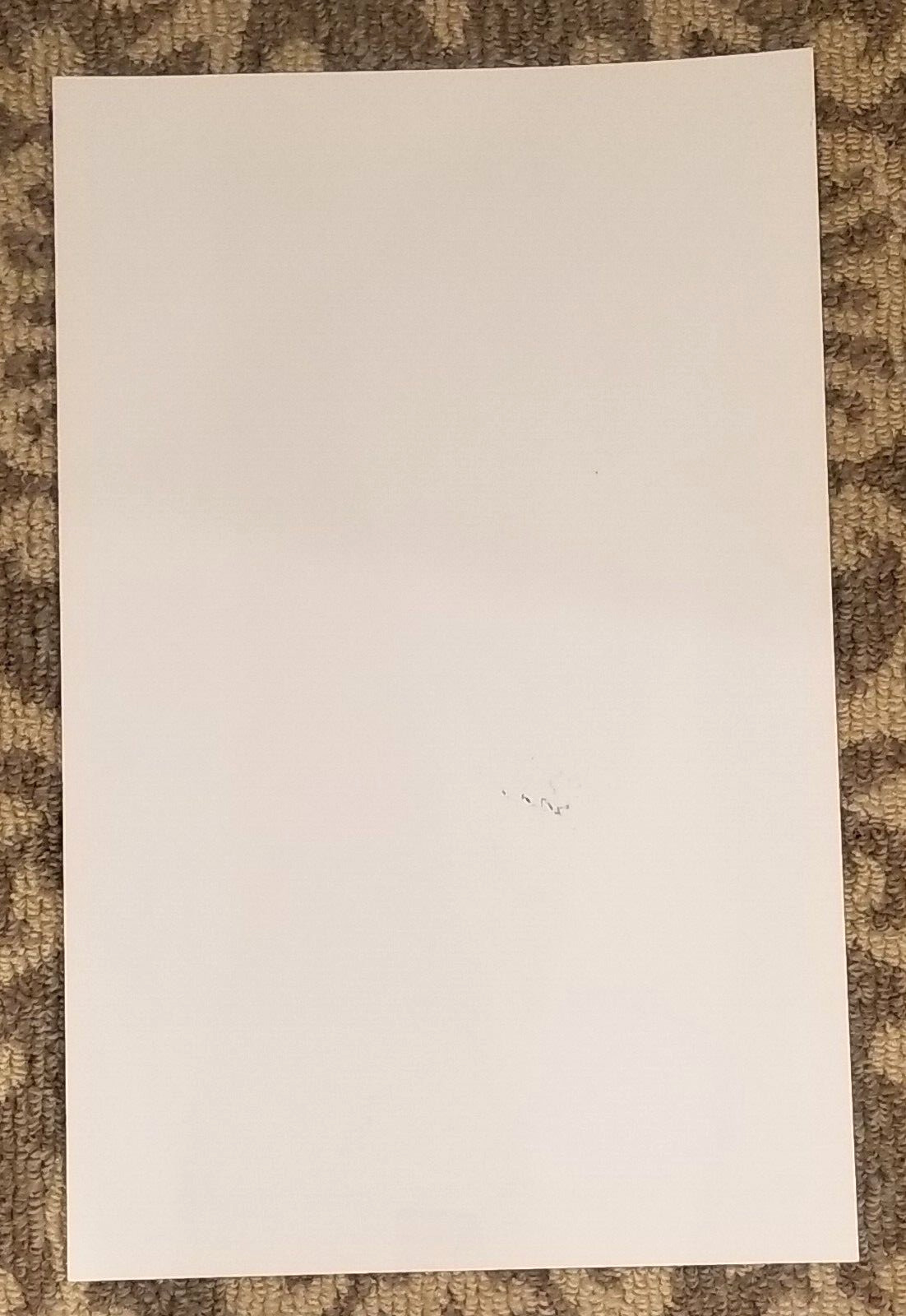 A CHORUS LINE MUSICAL 2008 CAST SIGNED 14X22 POSTER BOARD 30 SIGNATURES
