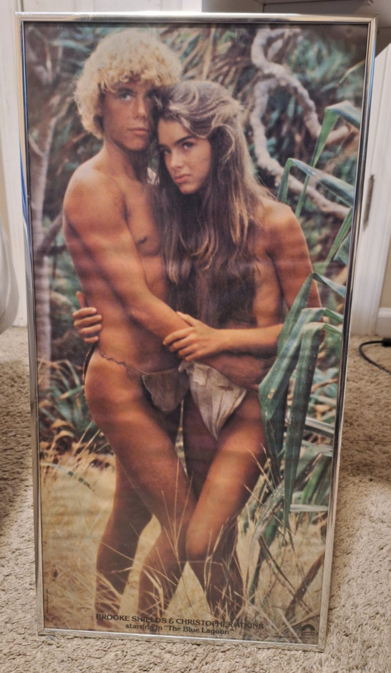 Vintage 1980 Blue Lagoon Columbia Pictures Movie Poster Metal Framed 22.5″x11.5″