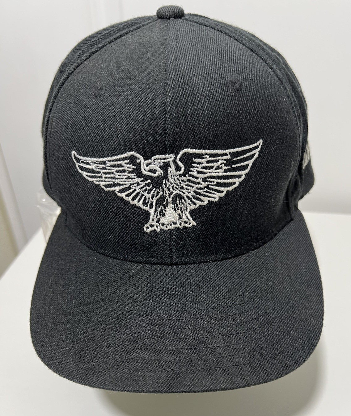 Classic Merch Billy Strings Wings And Name Logo Hat SnapBack – Pre-owned