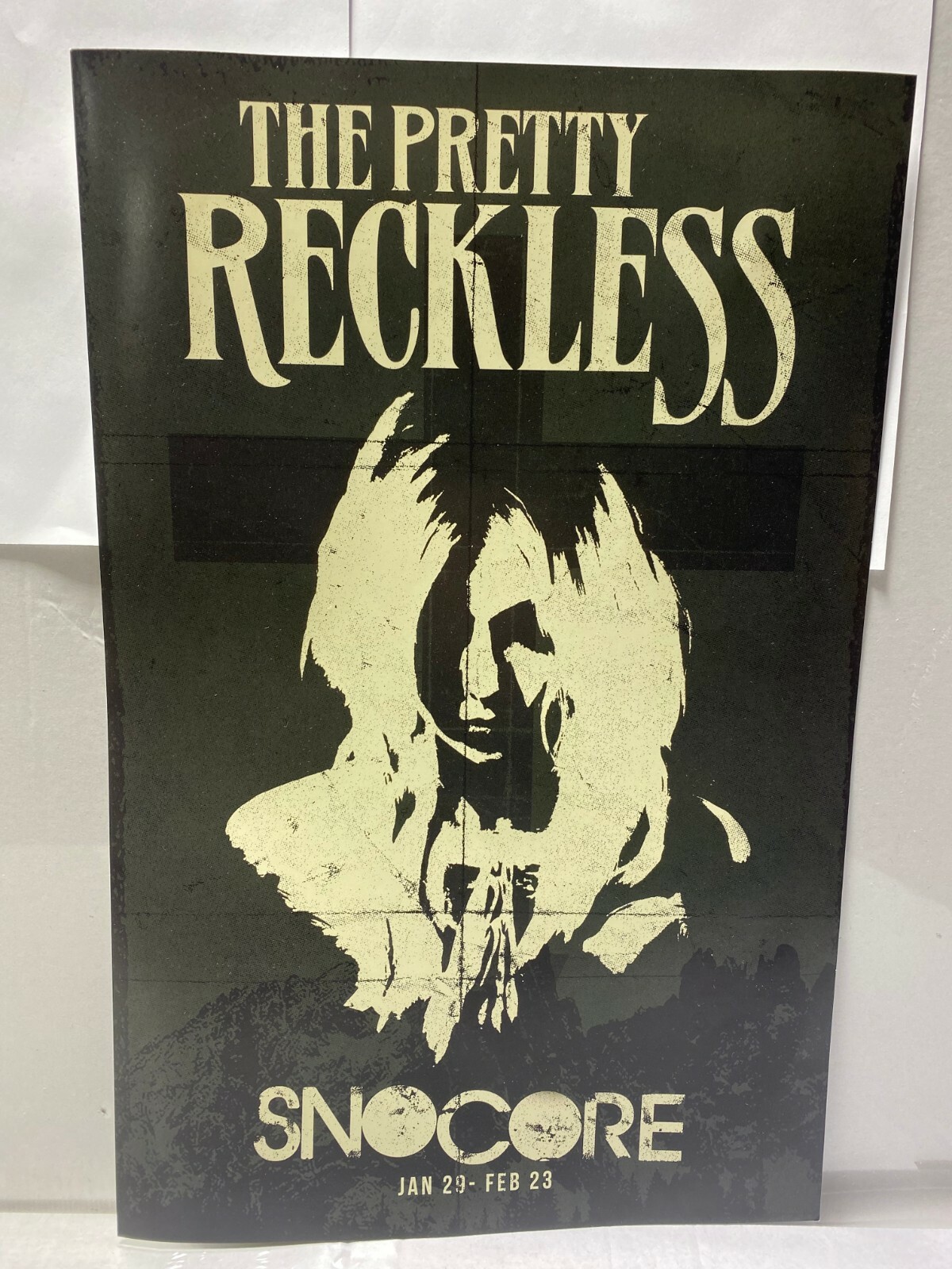 THE PRETTY RECKLESS Taylor Momsen SnoCore tour 2014 17X11 POSTER
