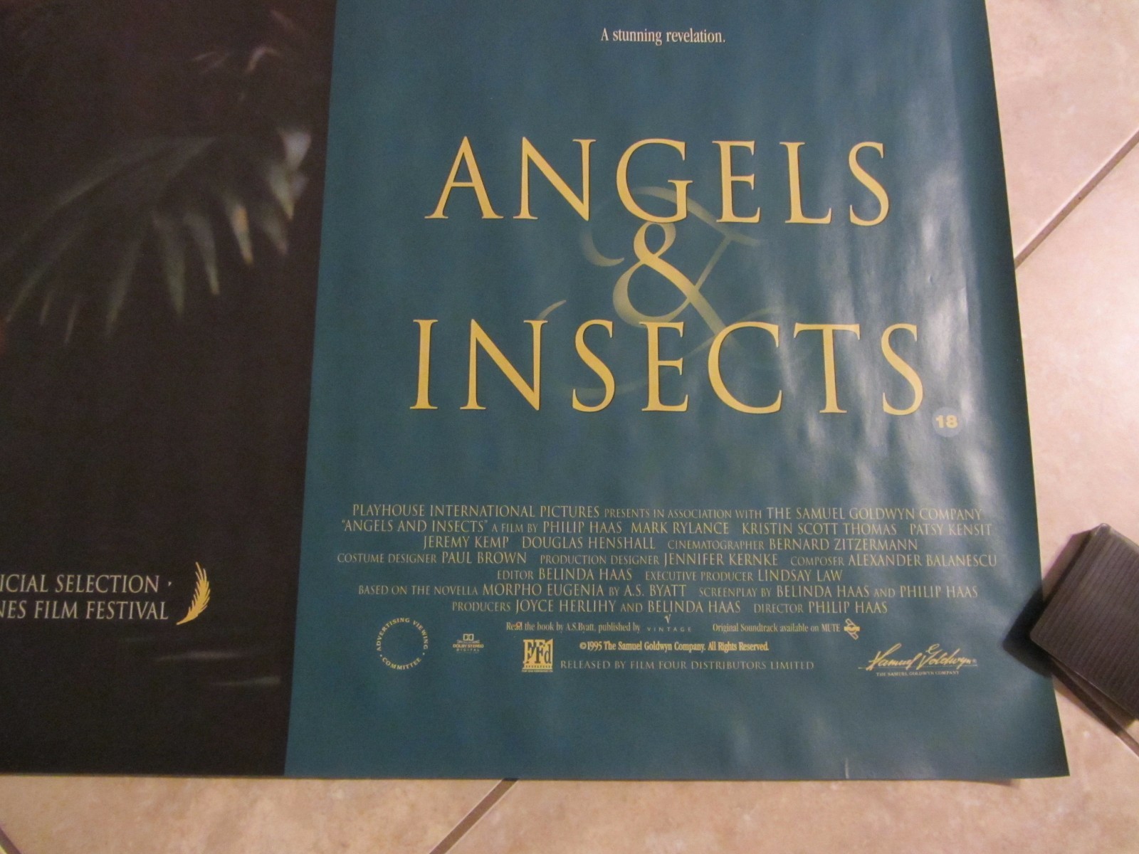 Angels and Insects movie poster : Patsy Kensit, Mark Rylance – 30 x 40 inches