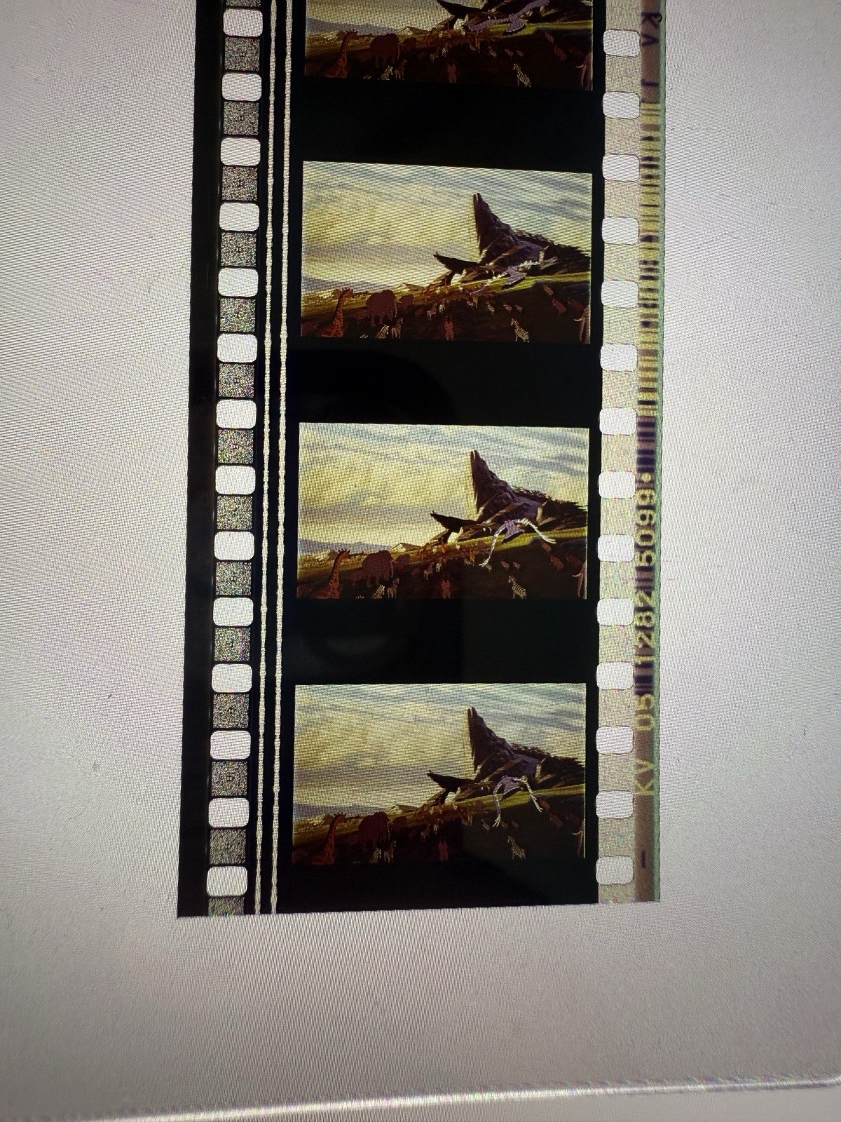 Authentic The Lion King 35mm Film Cell Strip Pride Rock Disney Movie Reel Raw