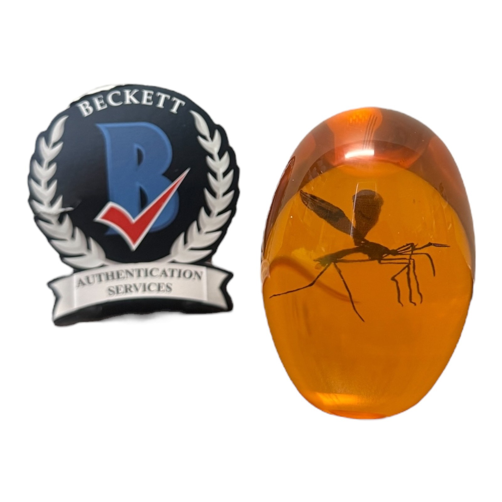 Jeff Goldblum Signed Autograph Jurassic Park Jurassic Era Mosquito In Amber BAS