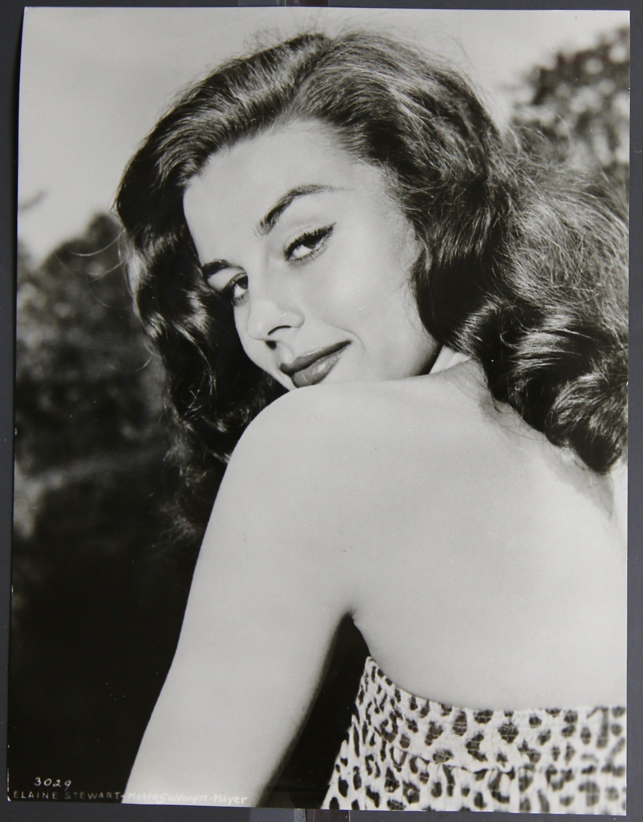 7 1/4″ x 9 1/2″ Cheesecake Promo Photo – Elaine Stewart – MGM M19