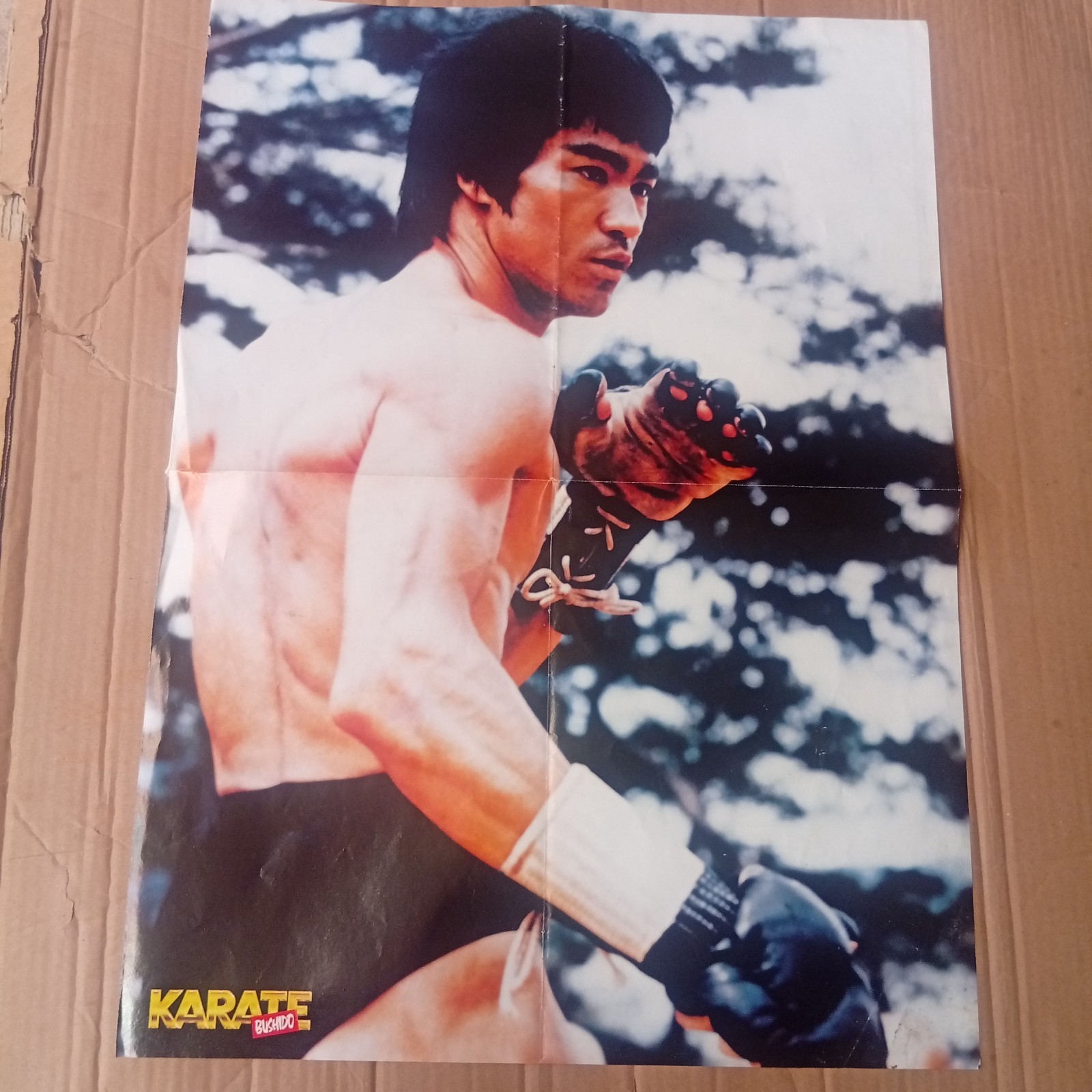 Vintage Poster Bruce Lee KungFu Martial Arts Wall Collectible Original 17×26 in