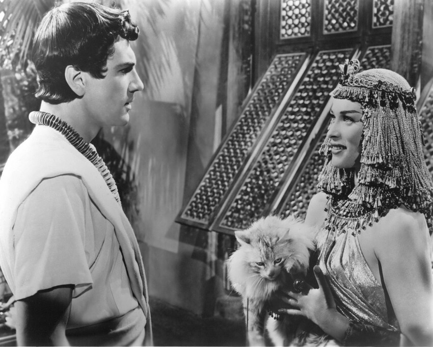 The Egyptian Bella Darvi Edmund Purdom 16X20 Canvas Giclee