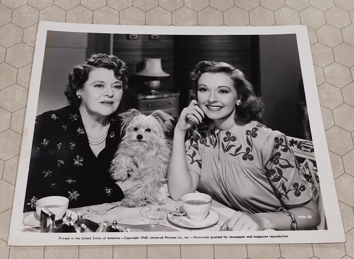 Caribbean Holiday/One Night in the Tropics, 8×10 B&W promo photo still, 1940