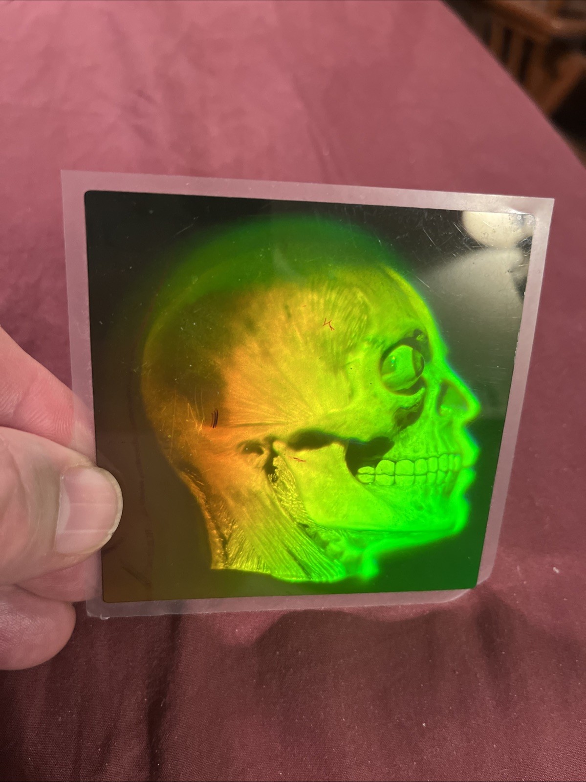 VTG Lightrix HOLOGRAM HUMAN BRAIN 3 D Hologram 1994
