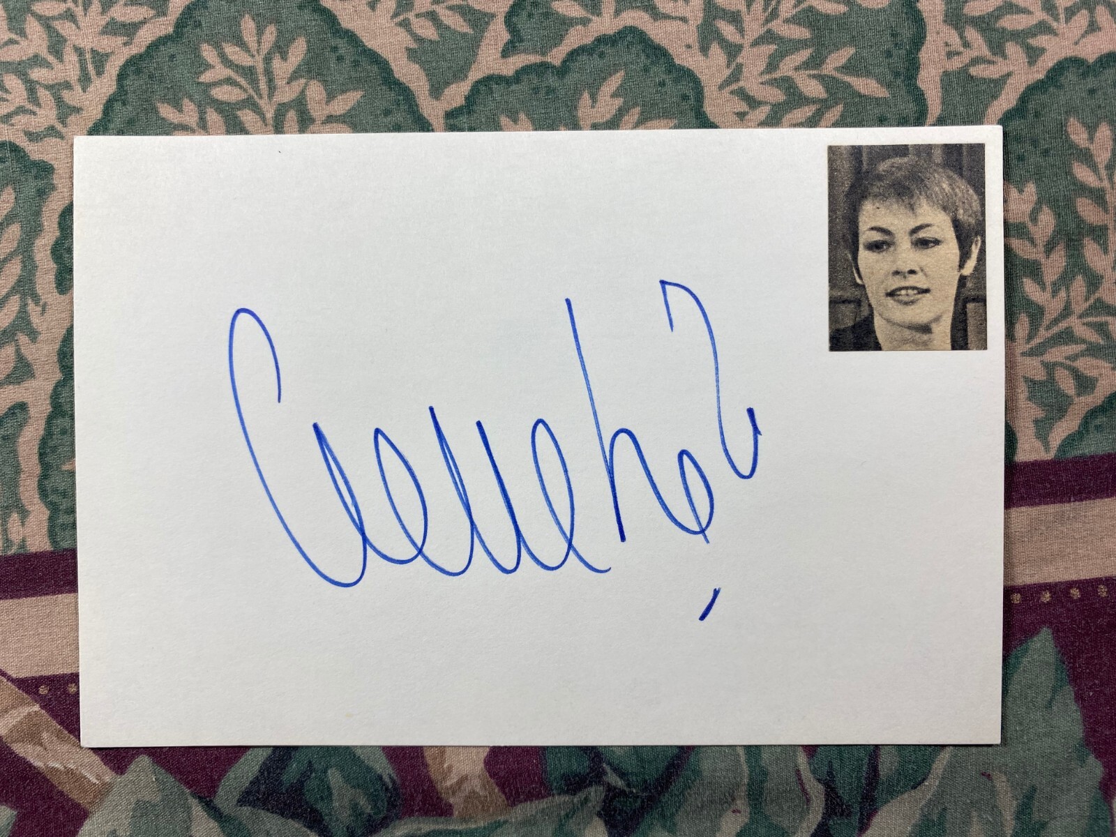 Mystery Autograph From The John Verzi Collection #A41