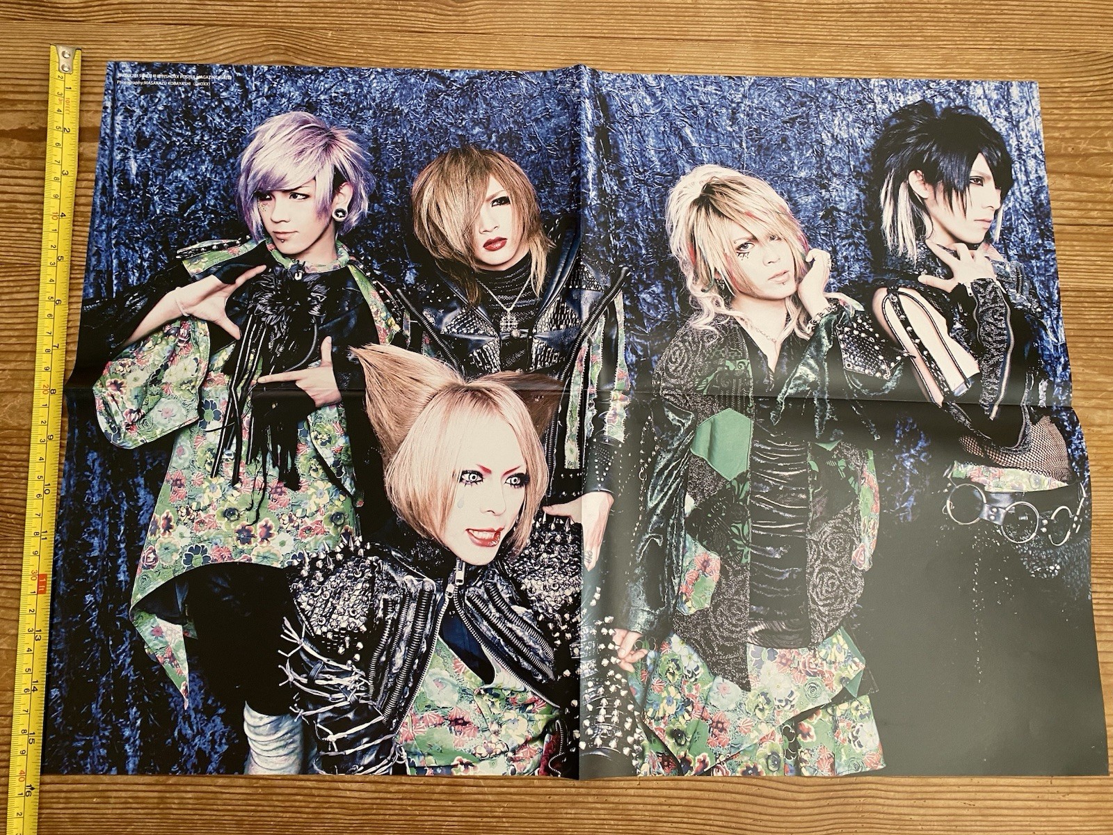 Poster Arlequin Japanese Visual Kei Rock Band Mejibray Malice Mizer Dir En Grey
