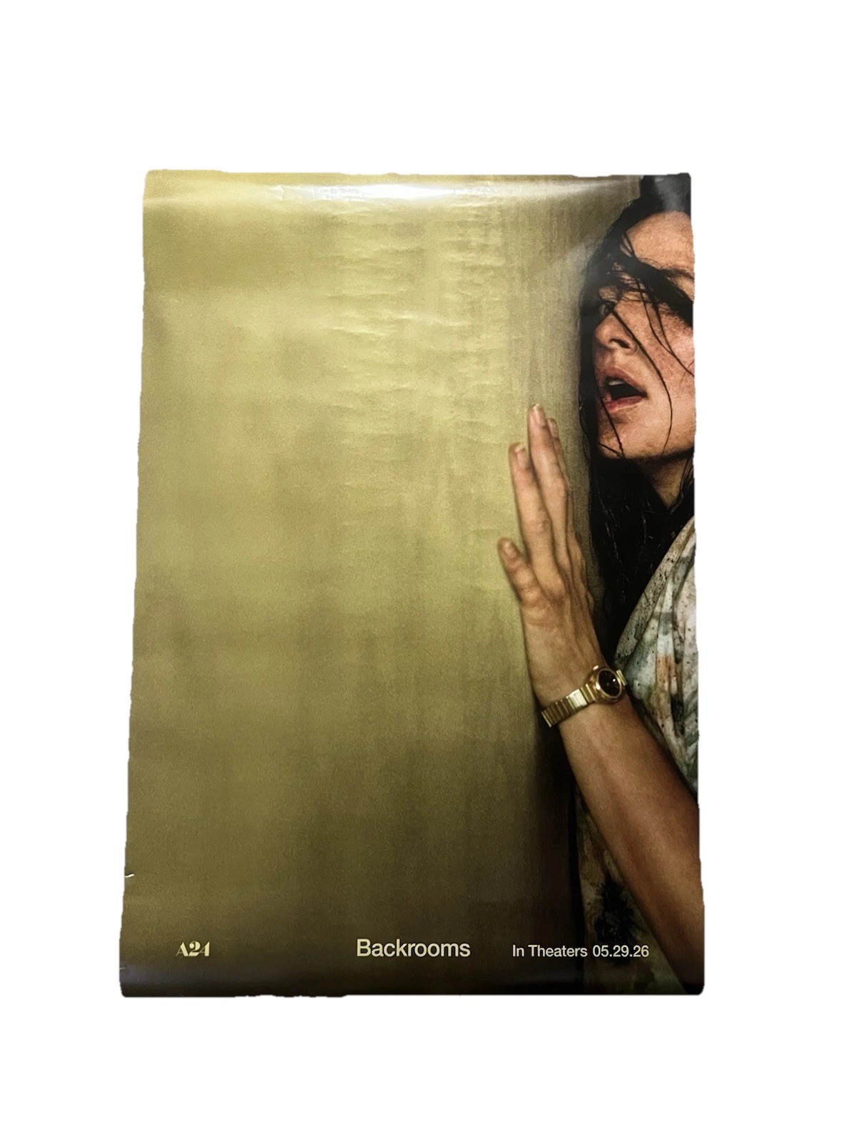 The Backrooms A24 Official 27×40 Movie Poster Double Sided
