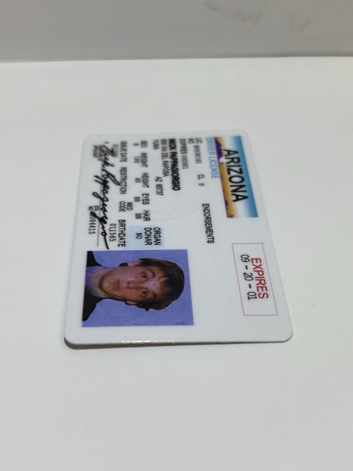 Nick Pappagiorgio Lampoon Vegas Vacation Movie Novelty ID License | Free Ship