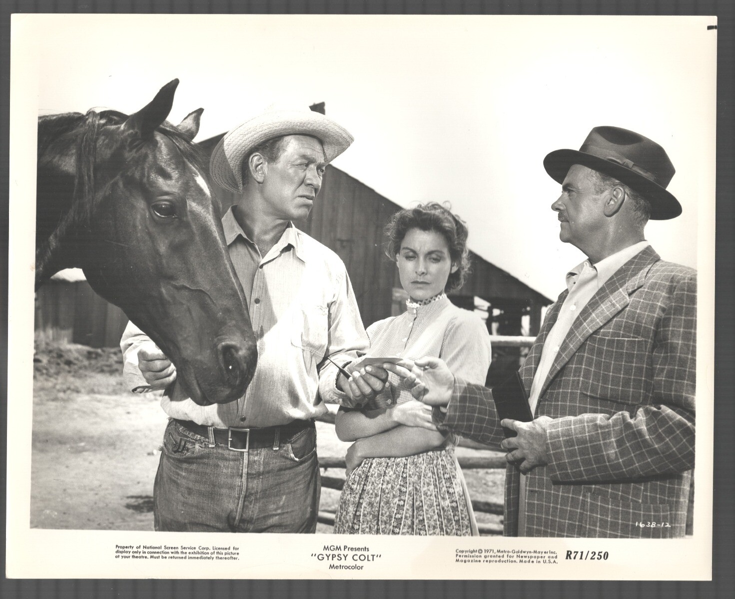 Gypsy Colt 8″x10″ Still Larry Keating Ward Bond Highland Dale Western