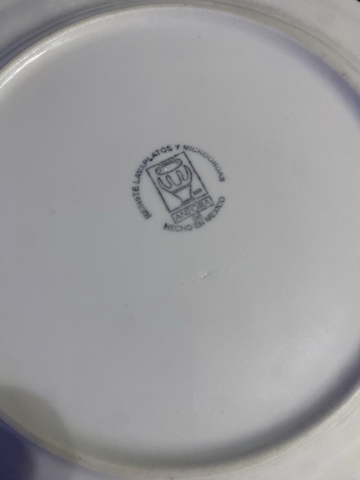 Titanic Original first-class dinner plates