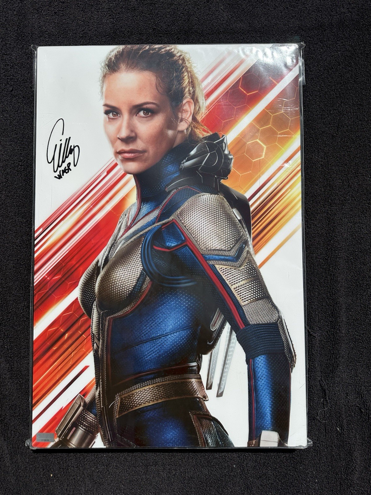 Evangeline Lilly Autographed Ant-Man & The Wasp 12×18 CinaPanel Celebrity AUTH