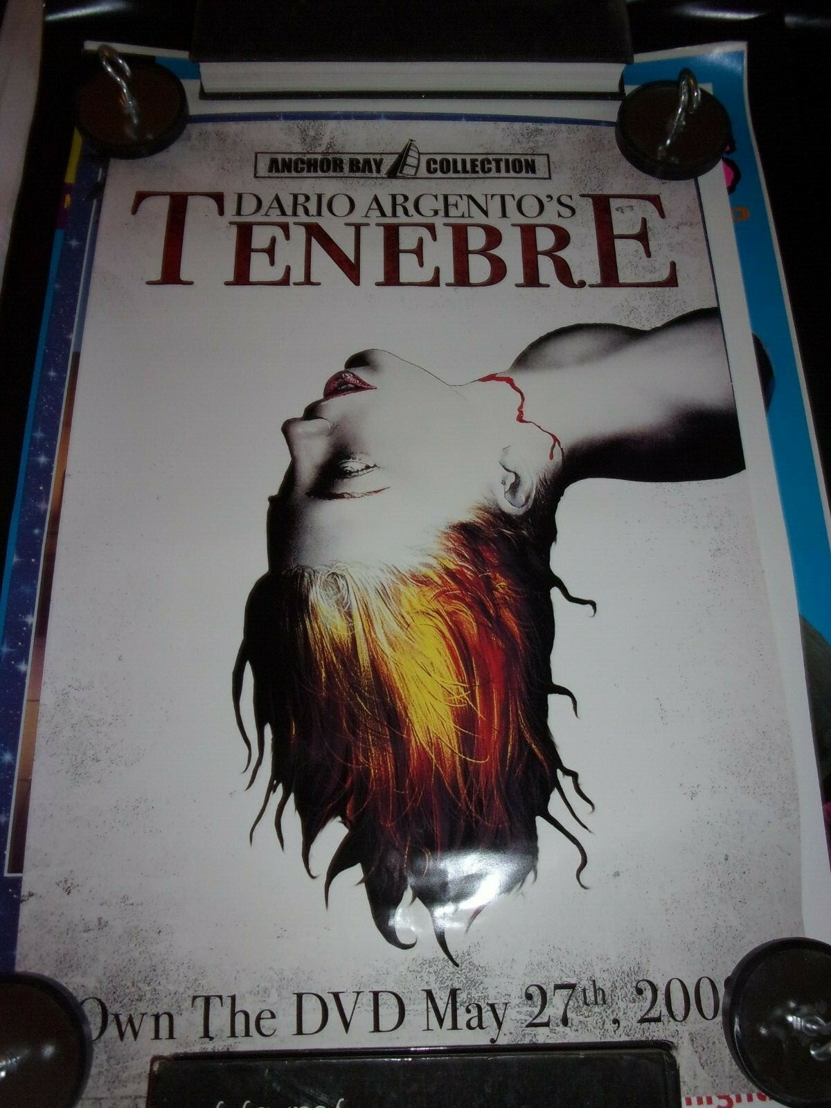 TENEBRE – 17 X 26 – ONE SHEET POSTER – NEW!