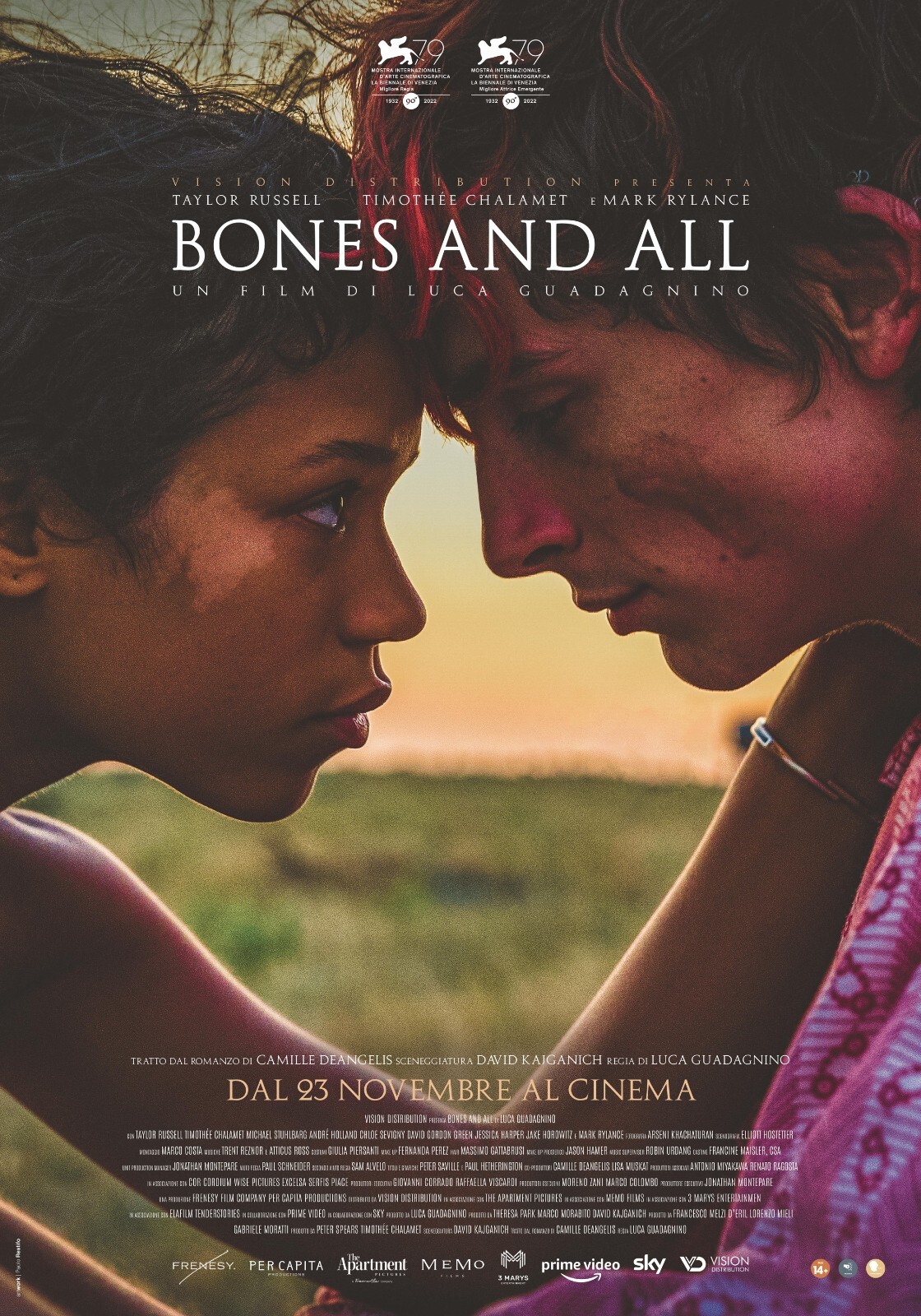 Bones And All Italian movie poster – 11″ x 17″ – Timothee Chalamet
