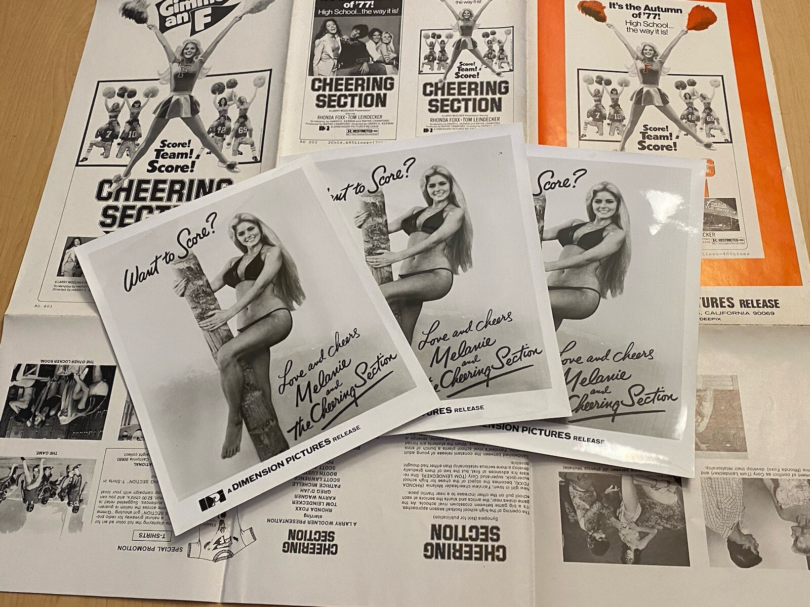 Cheering Section Movie Brochure Pamphlet Book Adult 1977 Poster Film Photos