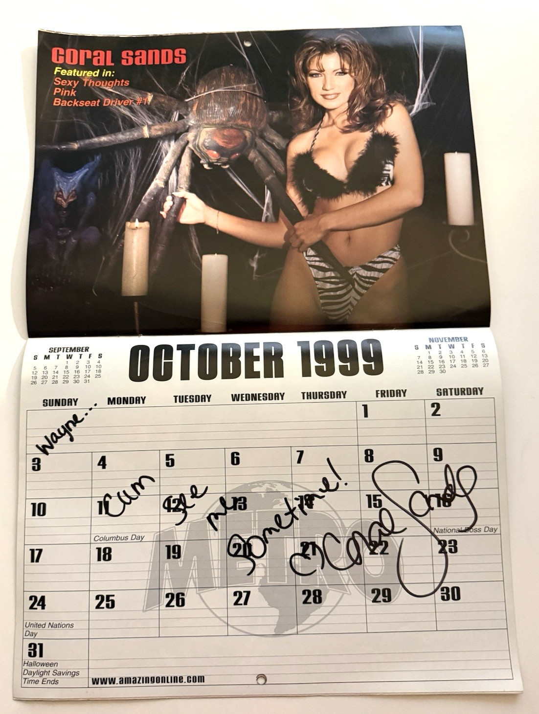 Metro Babes Illustrated hand SIGNED EVERY MONTH Swimsuit Calendar Porn Stars COA