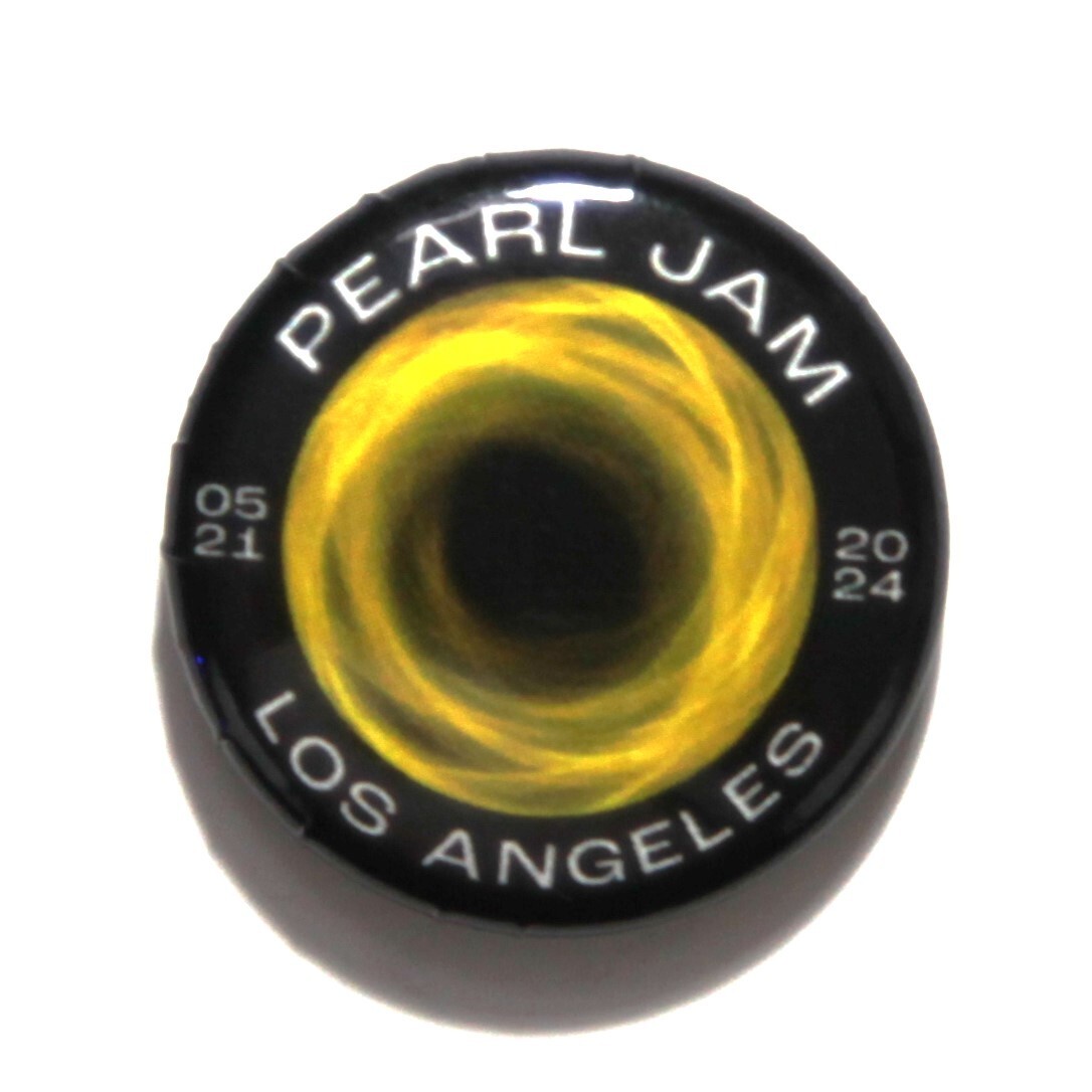 Pearl Jam Pin Los Angeles CA Kia Forum Button Dark Matter Tour Pin-Back 5-21-24