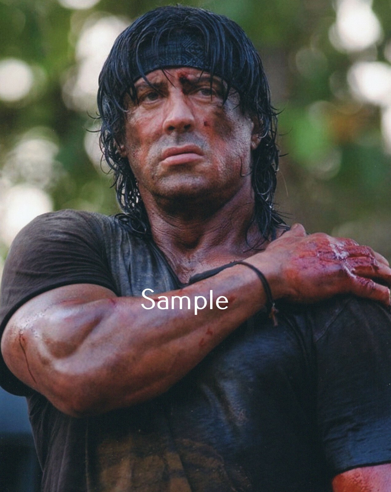 Sylvester Stallone 8×10 Rambo Actor Poster Print Picture SS3