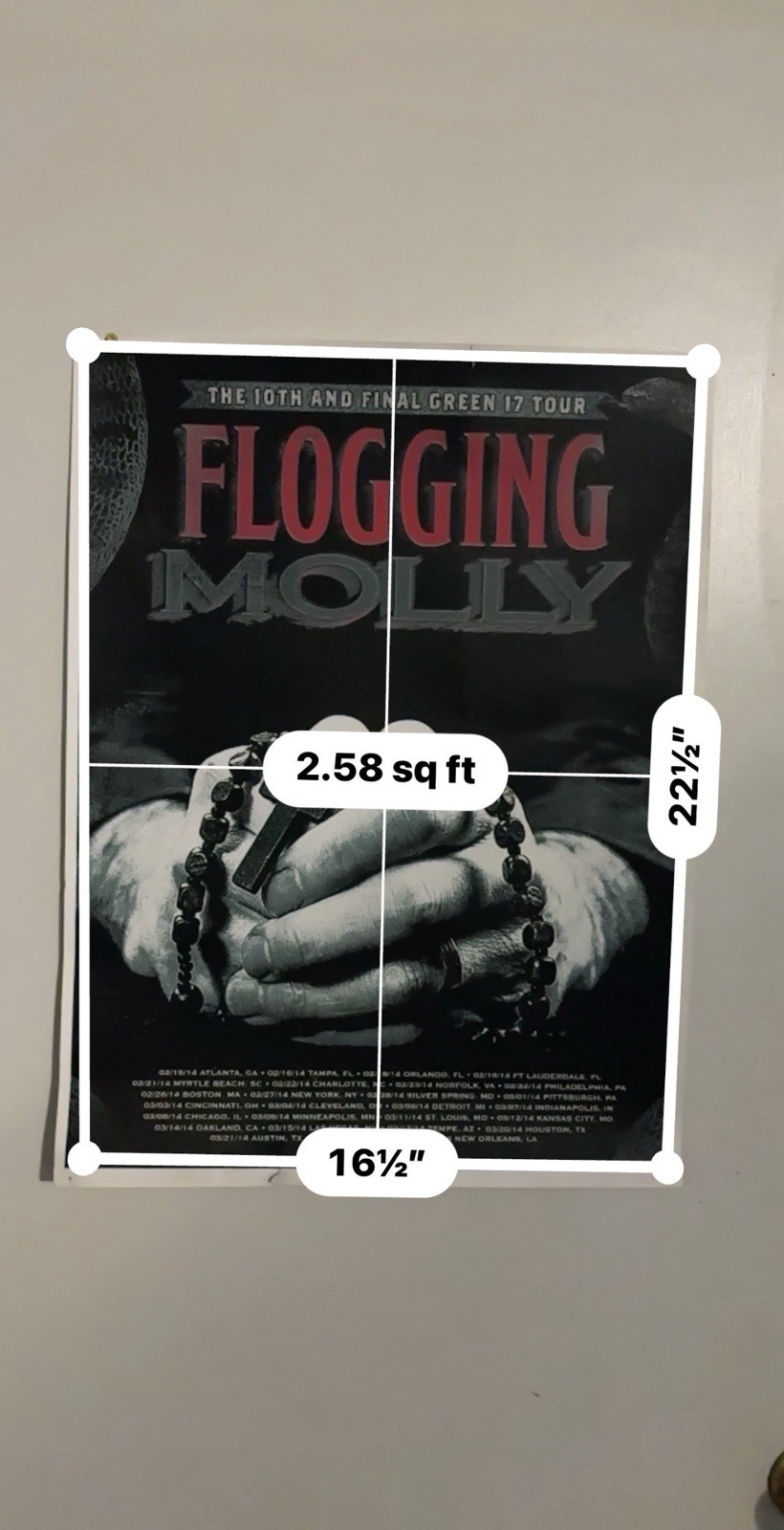 Flogging Molly The 10th and Final Green 17 Tour poster