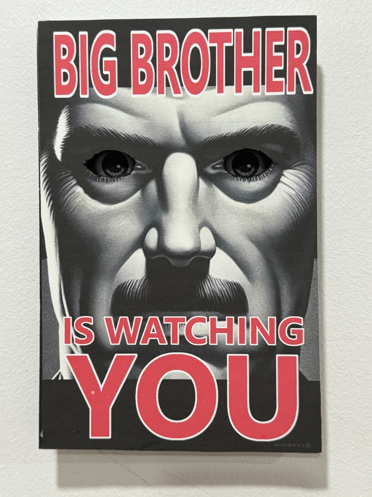 “Haunted Eyes Poster Kit – DIY Optical Illusion Wall Art Big Brother 1984”