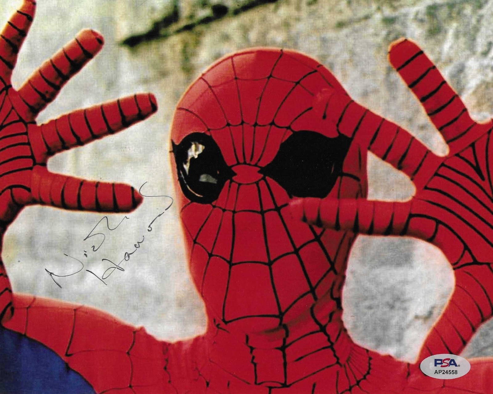 Nicholas Hammond The Original Spider-Man 1977 Signed Auto 8×10 Photo PSA DNA (C)