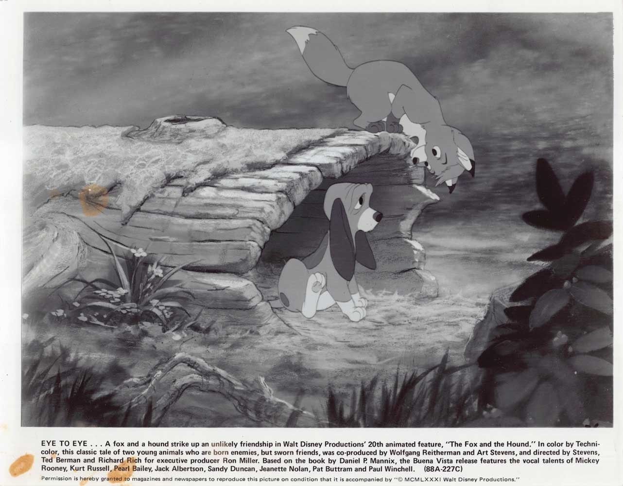Disney’s THE FOX AND THE HOUND original 10×8 press photo 1981