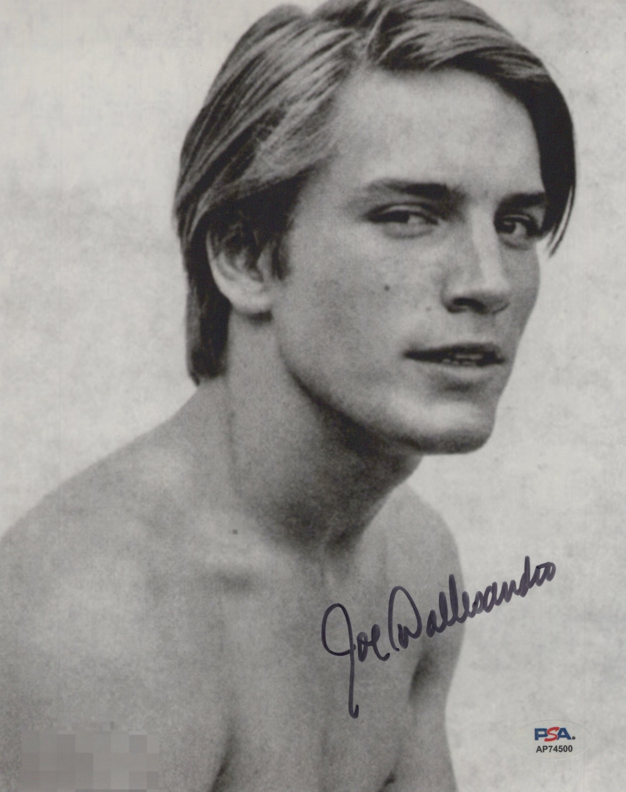 Joe Dallesandro (Andy Warhol) signed 8×10 photo PSA