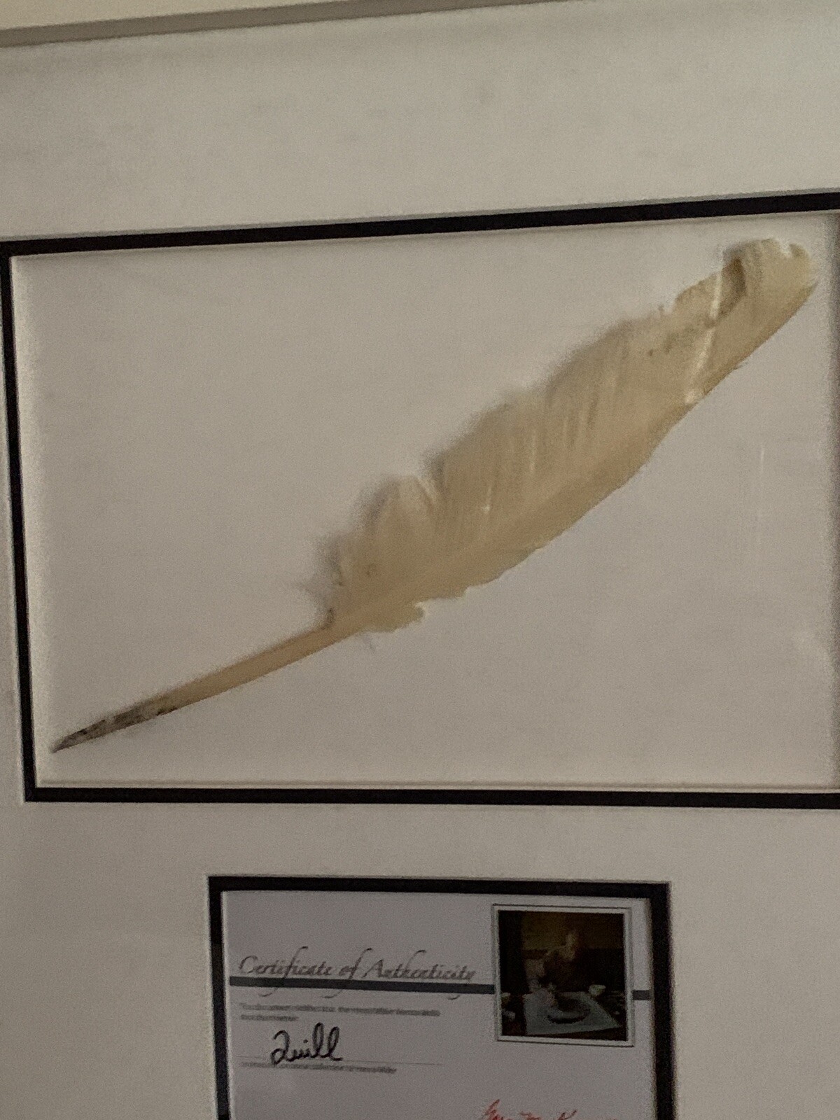 RARE Original Henry Miller Used Ink Quill Feather w/COA – 22″ X 20″ Framed