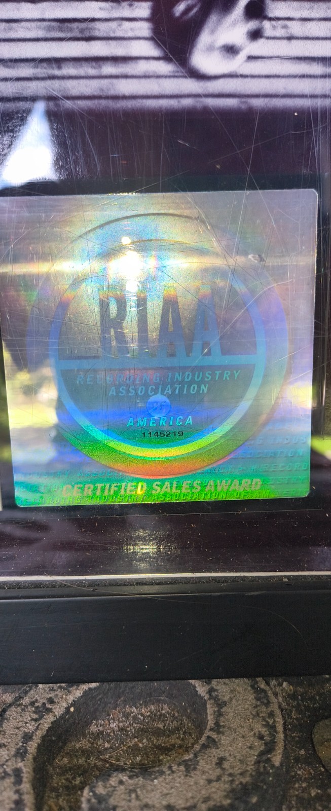 15..75″ X 22.5″ David Gray “White Ladder” RIAA Award Platinum Record AS IS Frame