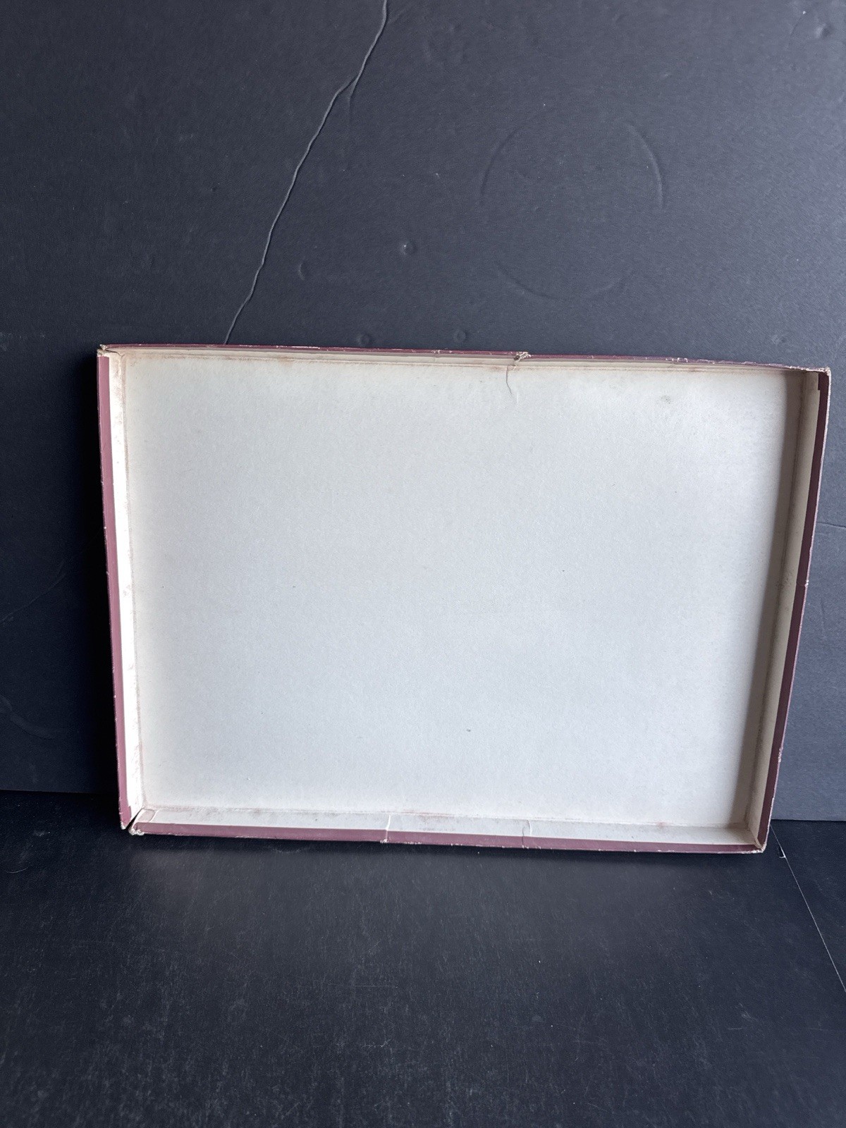 Bachrach Studio Portrait Box – Vintage Original 16×12 Storage Case
