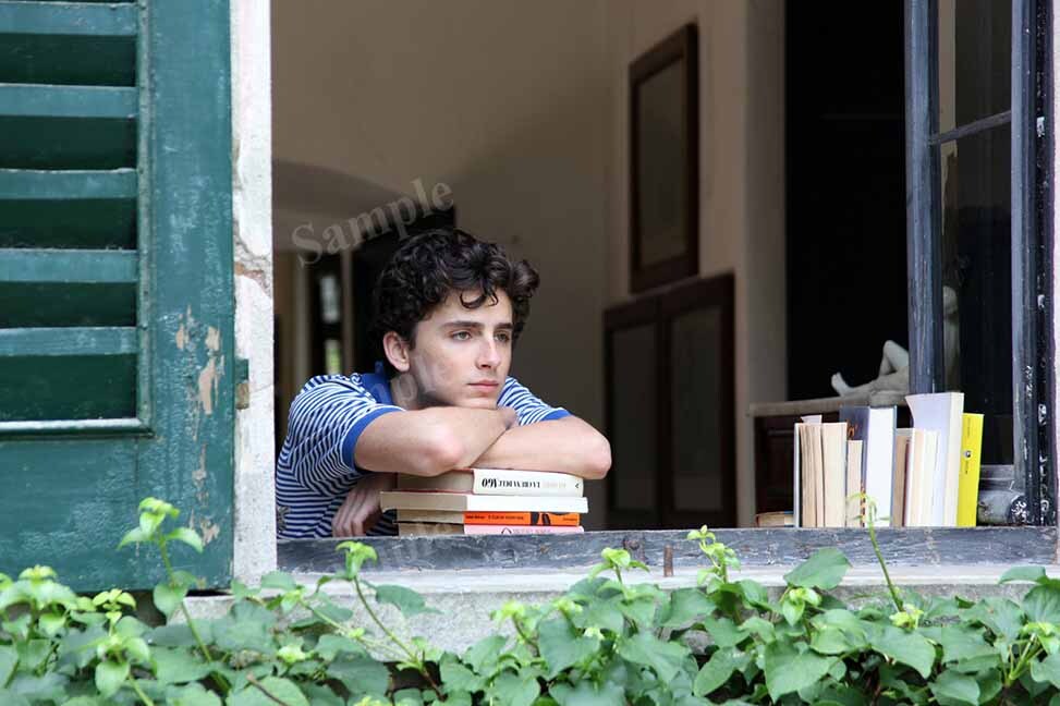 Photo Poster Timothee Chalamet contemplate at window Call Me By Your Name C3700