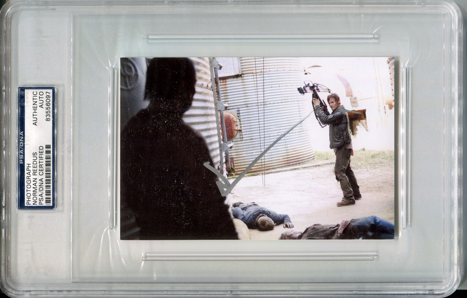 NORMAN REEDUS Silver Ink Signed 4×6 Photo The Walking Dead Daryl Dixon PSA/DNA