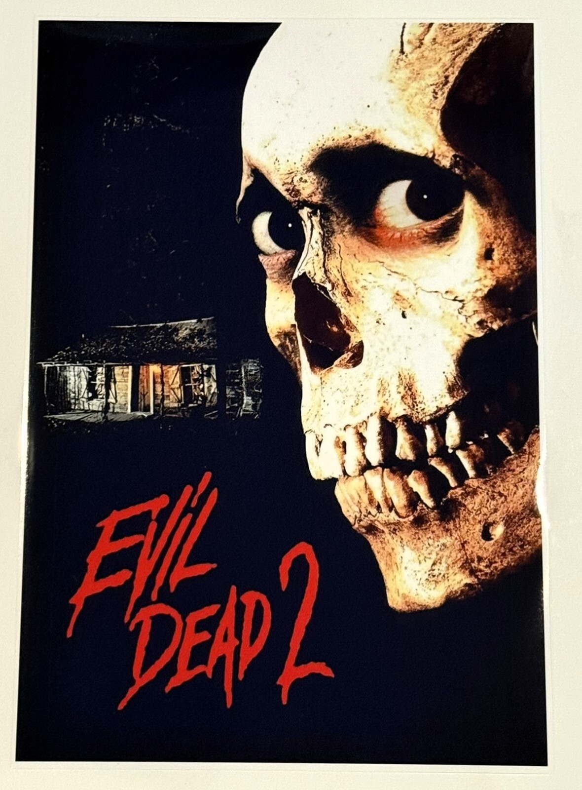 The Evil Dead 2 Horror 1987 Film Poster 19″x13″ Bruce Campbell ASH Sam Raimi