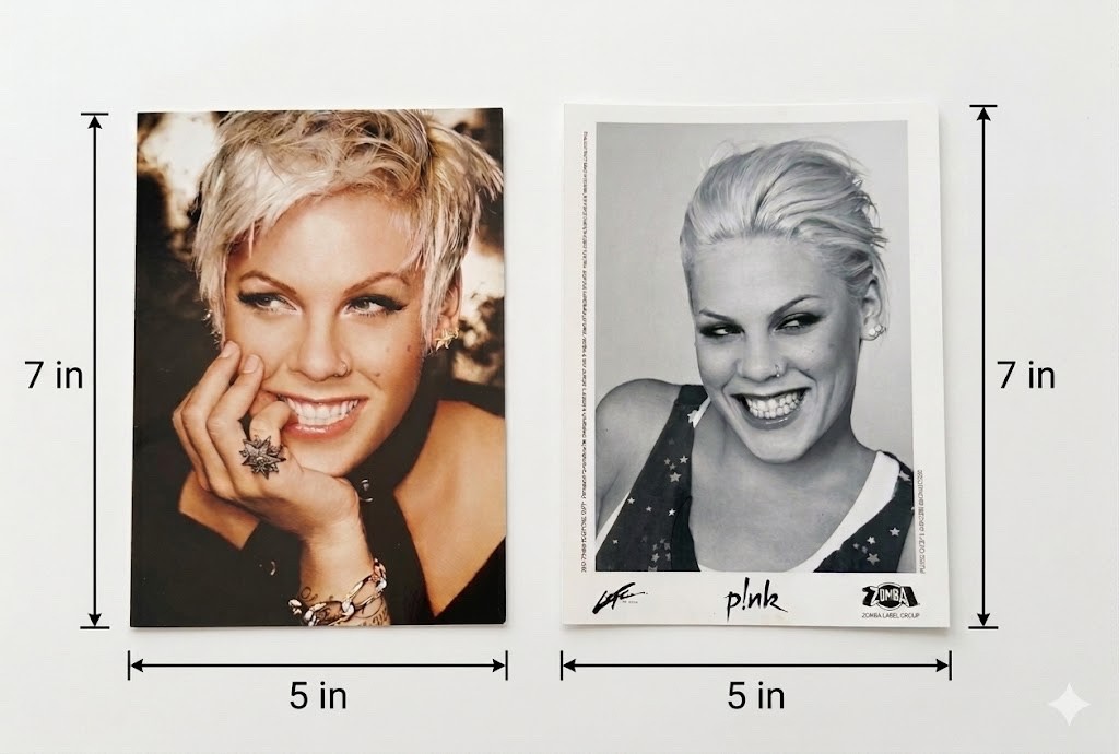 P!nk Pink 2006 Zomba Promo Press Kit Photos Lot 2 Andrew Macpherson Vintage